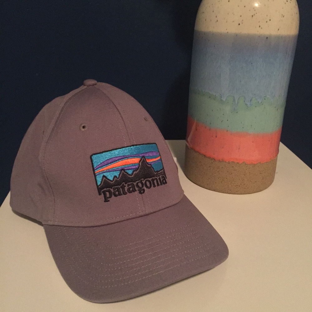 NWT Patagonia baseball cap